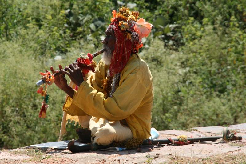 India & Nepal 2011 - 1113